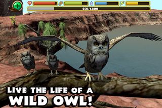 Owl Simulator - Screenshot 2