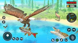 Eagle Simulator - Eagle Games - Screenshot 1