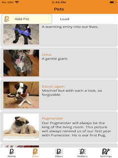 PetVibes - Screenshot 4