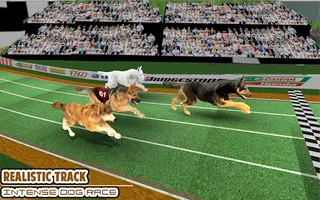 Dog Racing game - dog games - Screenshot 2