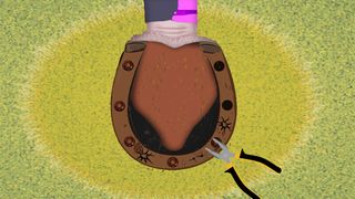 Royal Horse Care - Screenshot 2