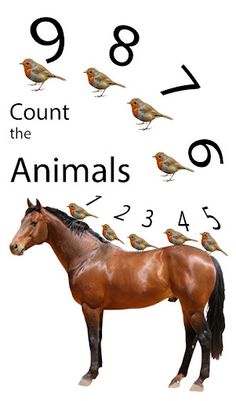 Count the Animals - Sounds of - Screenshot 1