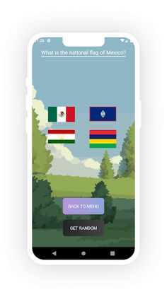 Choose The Flag - Screenshot 2