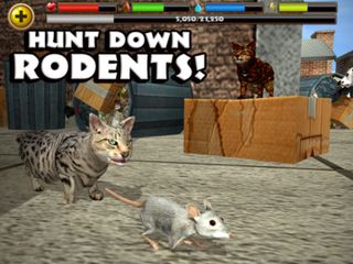 Stray Cat Simulator - Screenshot 2