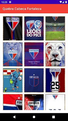 Quebra-Cabeça Fortaleza Leoes - Screenshot 4