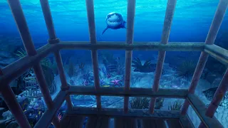 VR Abyss: Sharks & Sea Worlds - Screenshot 1