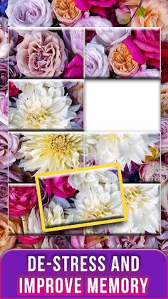 Jigsort Puzzles HD Puzzle Game - Screenshot 4