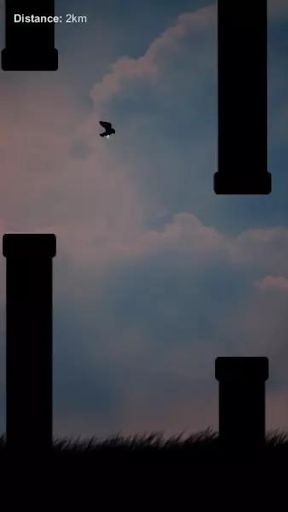 Bird Rush - Screenshot 2