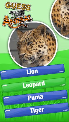 Guess The Animal Quiz Games - Screenshot 4