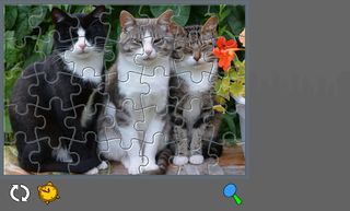 Puzzle with Cute Cats - Screenshot 2