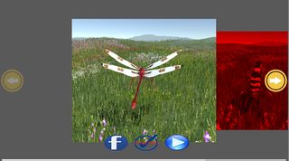 DragonFly - Screenshot 1