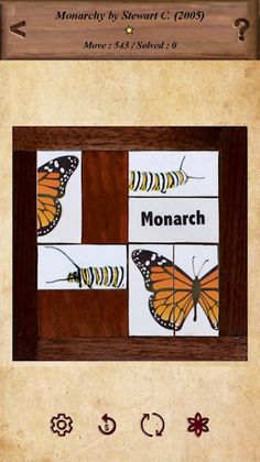 Sliding Block Puzzles - Screenshot 2