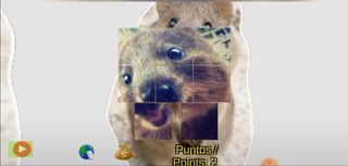 Quokka Quokkas Jigsaw Jigsaw P - Screenshot 2