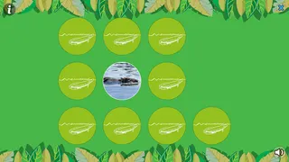 Animais Dispersores da Florest - Screenshot 3