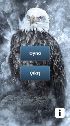 Beşiktaş Bilgi - Screenshot 1