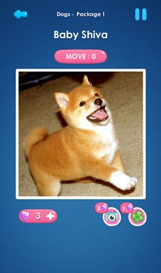 Slide Pictures Puzzle - Screenshot 3