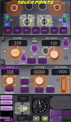 PWB737 MCP EFIS RADIO FSX P3D - Screenshot 3