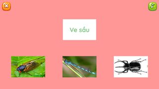 Cô Tiên Xanh - Screenshot 3