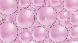 Pink Gum - Screenshot 1