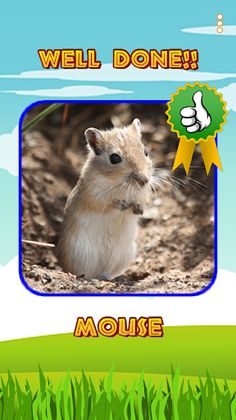 Guess animal sounds and names - Screenshot 2