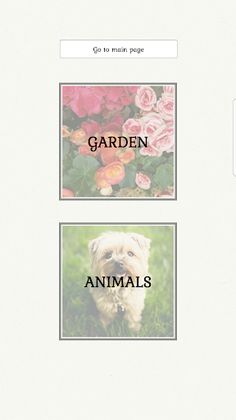 Time to Puzzle Premium - Screenshot 2