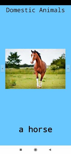 ვისწავლოთ ცხოველები Learn play - Screenshot 3