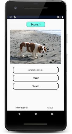 Dogs Quiz: Guess and Learn the - Screenshot 3