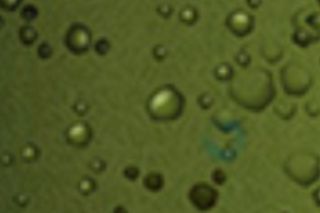 Frog Ball - Screenshot 2