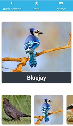 Animal Sounds Learn With Game - Screenshot 4