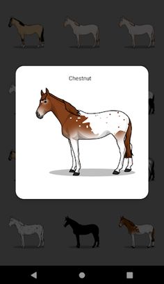 A Dozen Tiny Horses - Screenshot 3