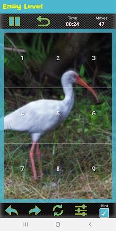 Animals Puzzle - Screenshot 4