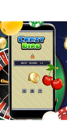 CrazyBird3 - Screenshot 1