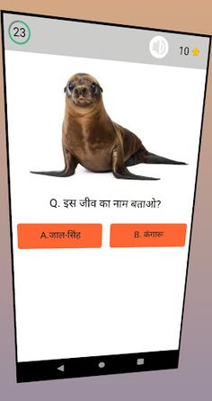 Animals Gaming Quiz - Screenshot 2