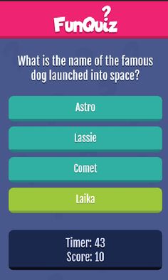 Fun Quiz - Screenshot 4