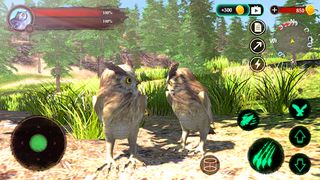 The Owl - Screenshot 1