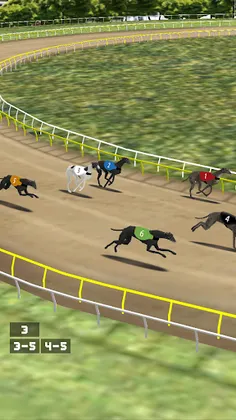 Simple Greyhound Racing - Screenshot 4