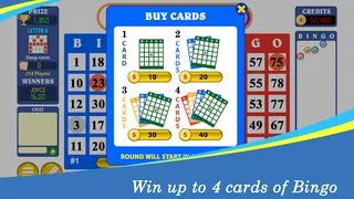 Bingo Classic™ Fun Bingo Game - Screenshot 3