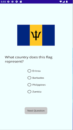 Guess The Flag - Screenshot 1