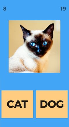 Cat Or Dog - Screenshot 2