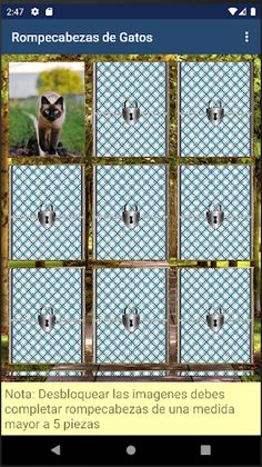 Rompecabezas de Gatos - Screenshot 2
