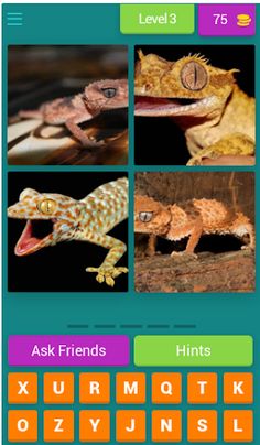 4 Pics 1 Word (Basic) - Screenshot 4