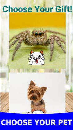 Choose Your Gift - Screenshot 2