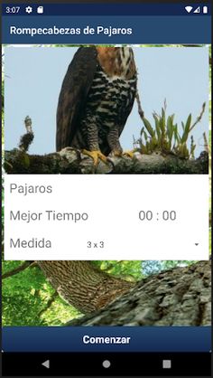 Rompecabezas de Pajaros - Screenshot 3
