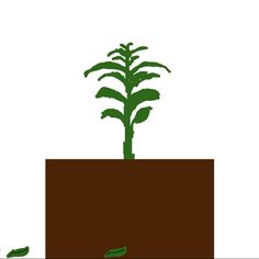 Office Plant - Screenshot 1