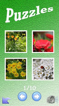 Puzzle - Screenshot 2