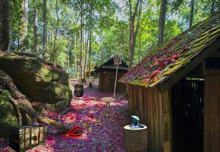 Mystery Forest House Escape - Screenshot 3