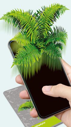 History of Life on Earth - Screenshot 3