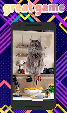 Find the Cat - Screenshot 4