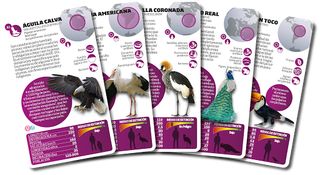 Luminias - Screenshot 1