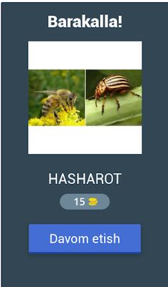 2 ta rasm 1 so'z - Screenshot 2